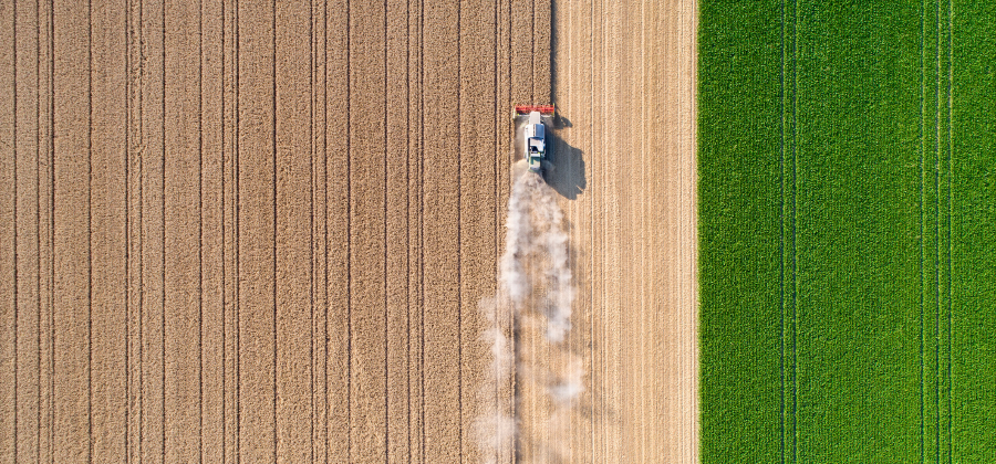 tractor harvesting field