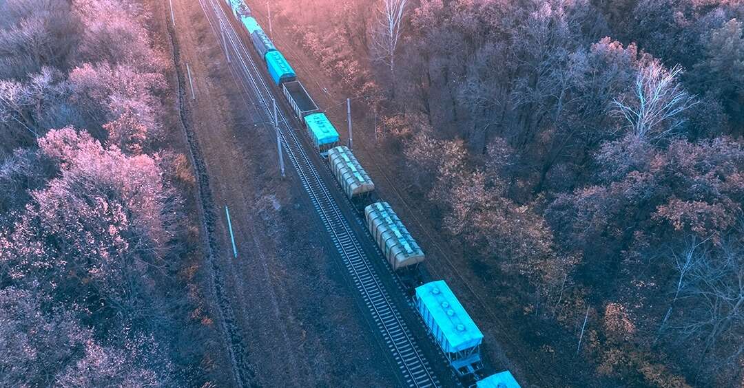 Aerial view of a train running through a forest without leaves